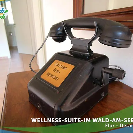 Wellness-suite-im-wald-am-see *