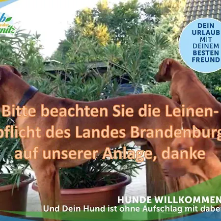 Wellness-suite-im-wald-am-see Apartment