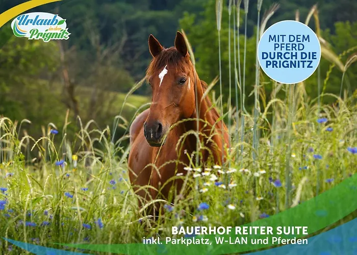 Wellness-suite-im-wald-am-see Apartamento