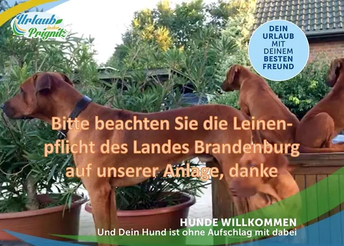 Wellness-suite-im-wald-am-see Apartamento